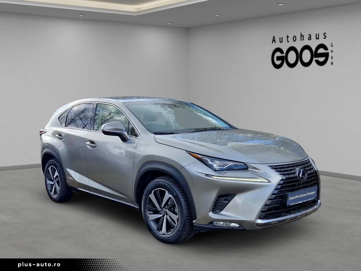 LEXUS NX 300h E-Four Luxury Pano Memory Sitze 360 Kame