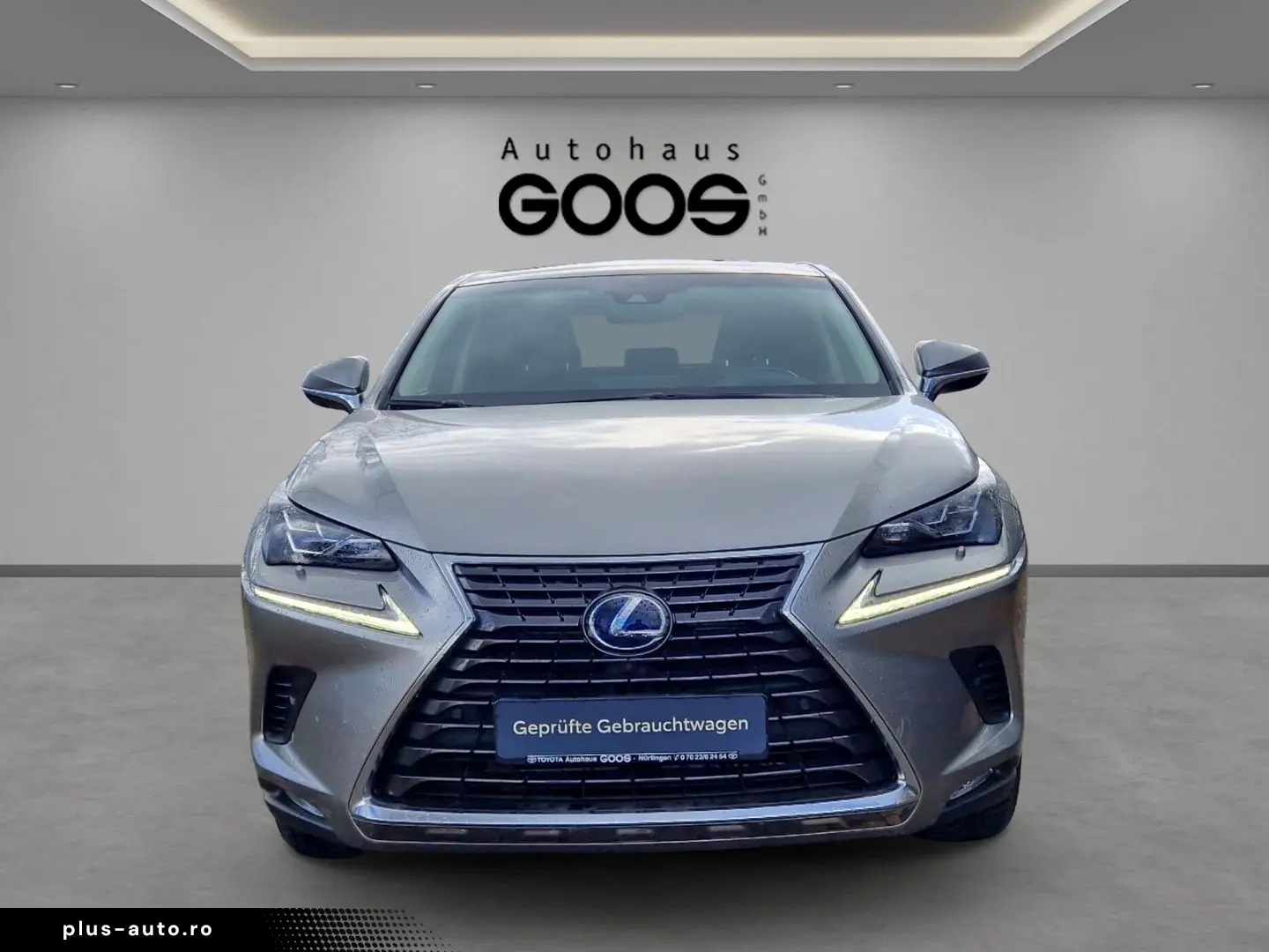 LEXUS NX 300h E-Four Luxury Pano Memory Sitze 360 Kame