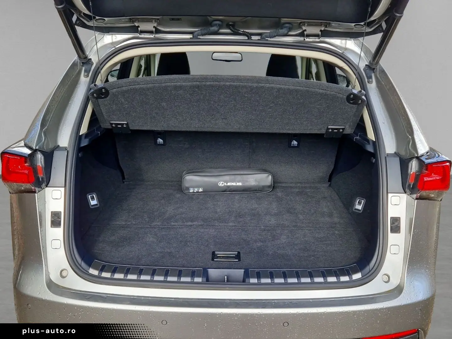 LEXUS NX 300h E-Four Luxury Pano Memory Sitze 360 Kame