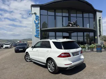 MERCEDES-BENZ ML 250