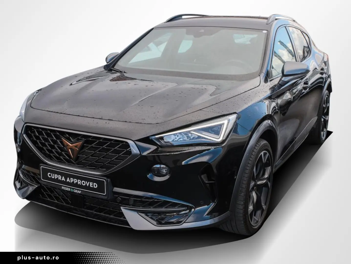CUPRA Formentor VZ 2.0 TSI DSG Navi Kamera LED SiHz