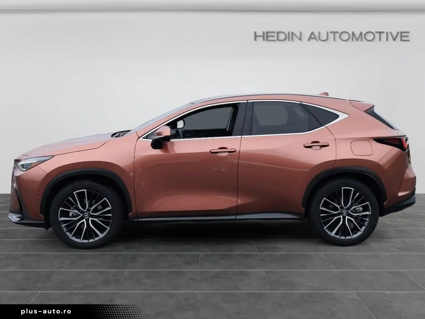 Lexus NX 350h E-Four Luxury Line MarkLevinson Ventil 360