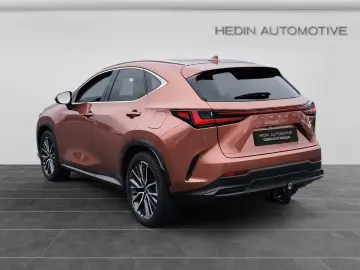 Lexus NX 350h E-Four Luxury Line MarkLevinson Ventil 360