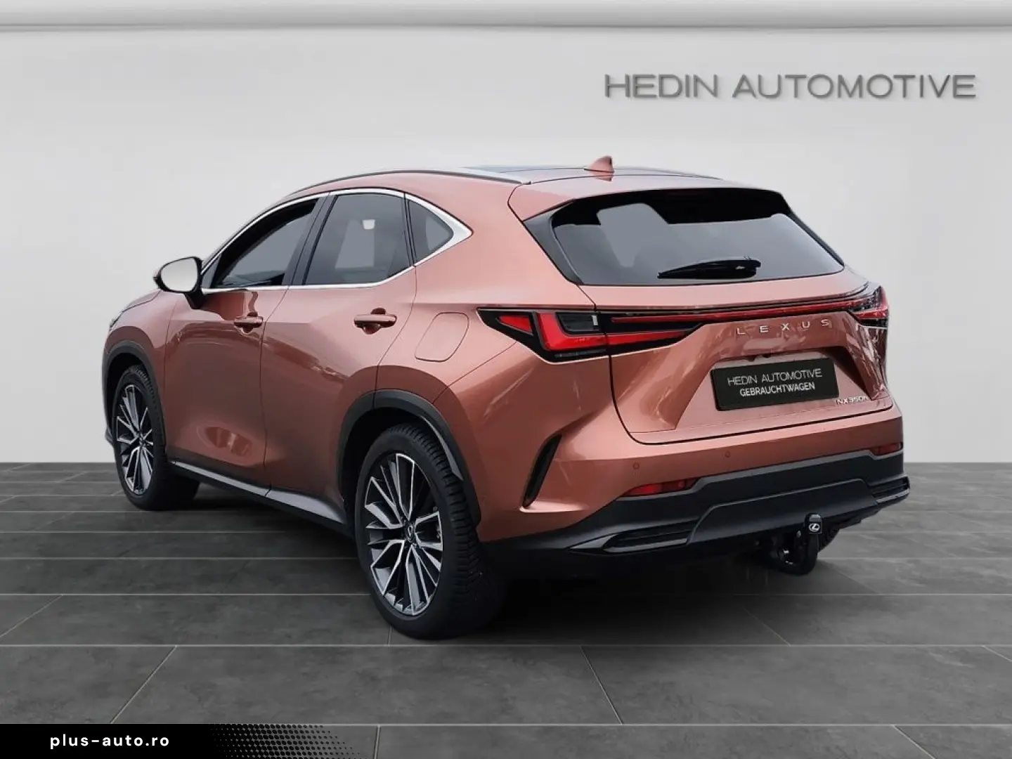 Lexus NX 350h E-Four Luxury Line MarkLevinson Ventil 360