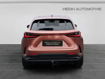 Lexus NX 350h E-Four Luxury Line MarkLevinson Ventil 360