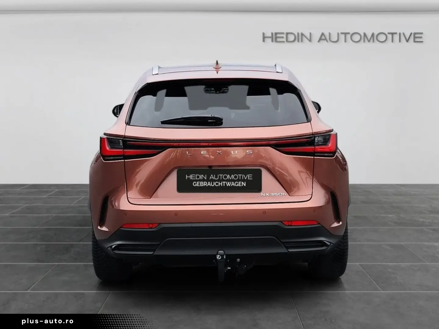 Lexus NX 350h E-Four Luxury Line MarkLevinson Ventil 360