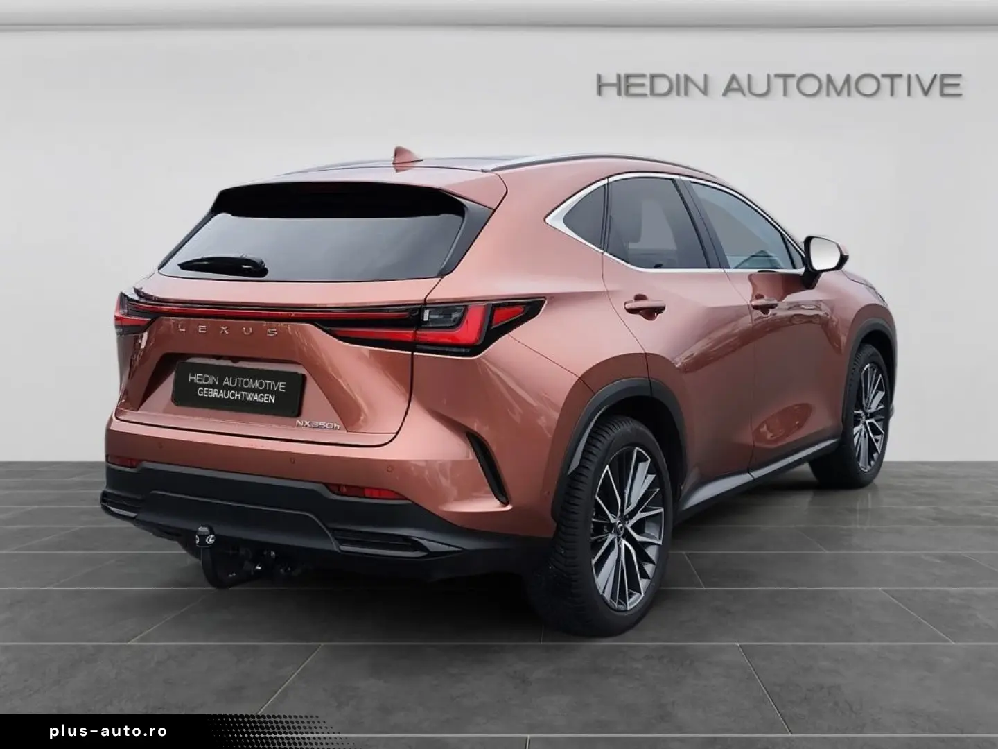 Lexus NX 350h E-Four Luxury Line MarkLevinson Ventil 360