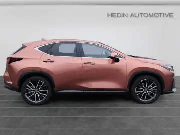 Lexus NX 350h E-Four Luxury Line MarkLevinson Ventil 360