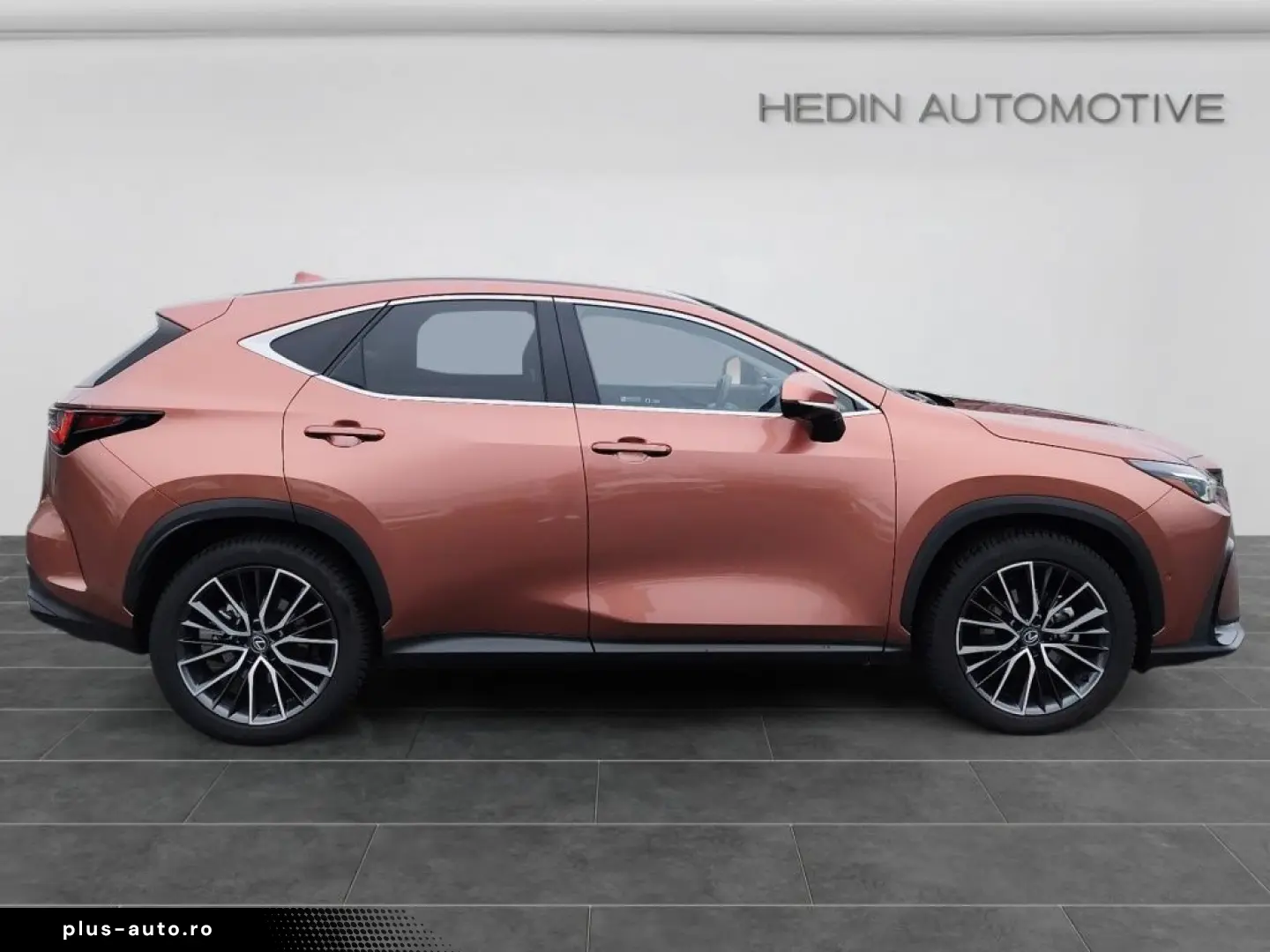 Lexus NX 350h E-Four Luxury Line MarkLevinson Ventil 360