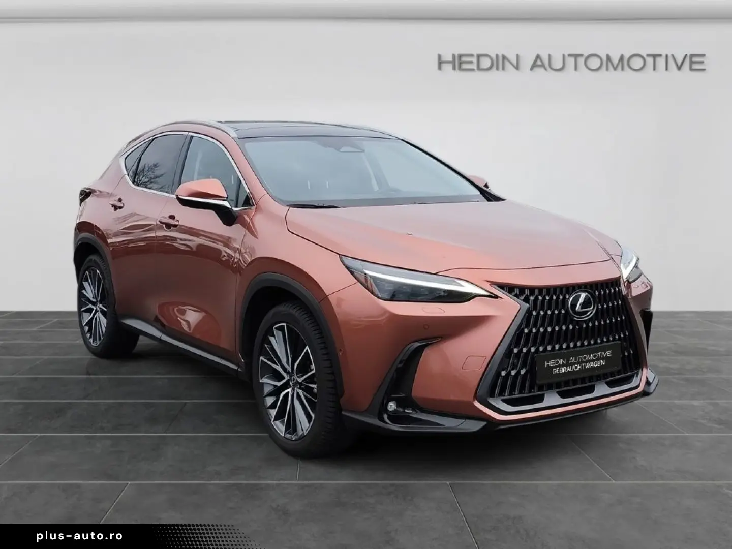 Lexus NX 350h E-Four Luxury Line MarkLevinson Ventil 360