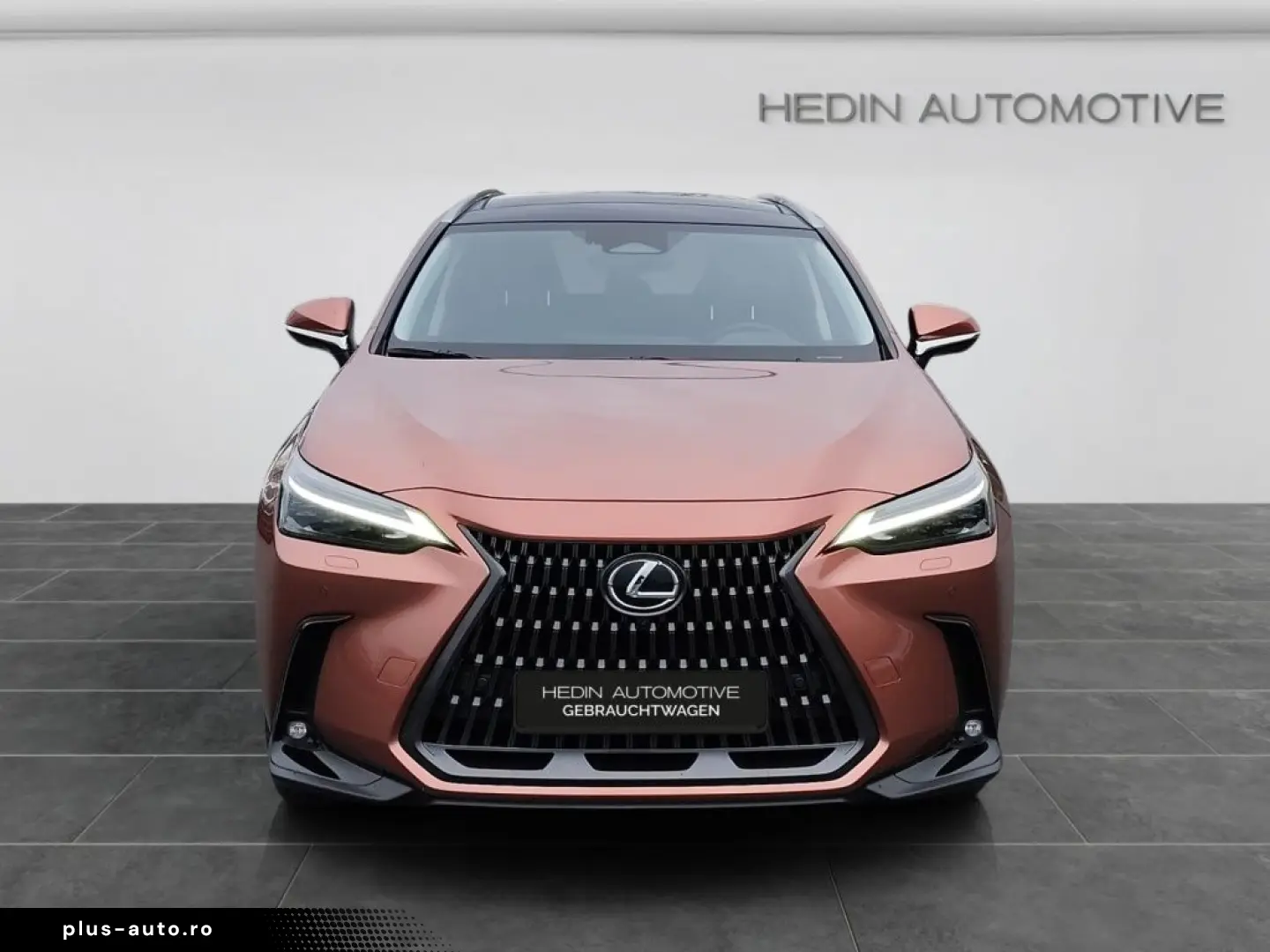 Lexus NX 350h E-Four Luxury Line MarkLevinson Ventil 360