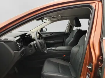 Lexus NX 350h E-Four Luxury Line MarkLevinson Ventil 360