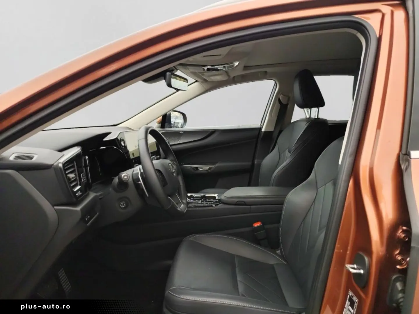 Lexus NX 350h E-Four Luxury Line MarkLevinson Ventil 360