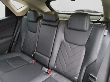 Lexus NX 350h E-Four Luxury Line MarkLevinson Ventil 360