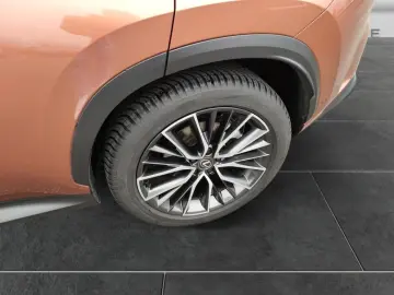 Lexus NX 350h E-Four Luxury Line MarkLevinson Ventil 360