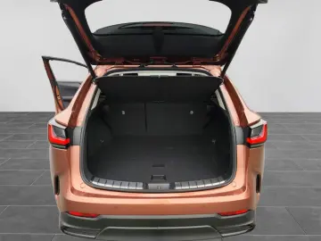 Lexus NX 350h E-Four Luxury Line MarkLevinson Ventil 360