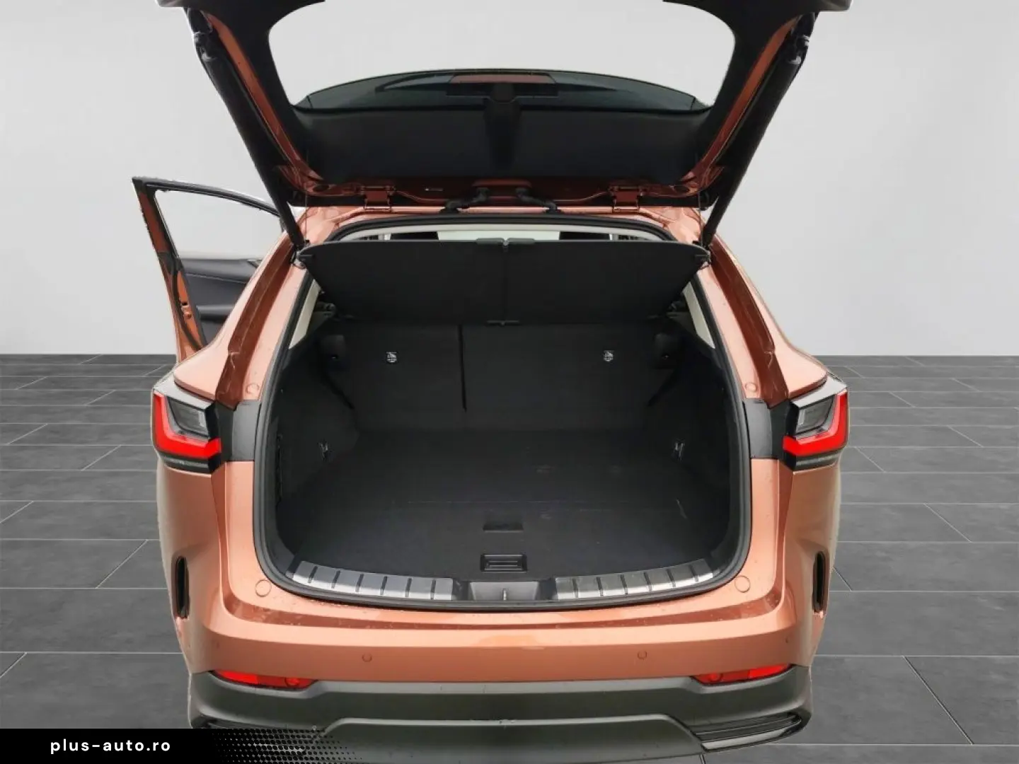 Lexus NX 350h E-Four Luxury Line MarkLevinson Ventil 360