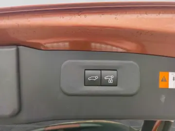 Lexus NX 350h E-Four Luxury Line MarkLevinson Ventil 360