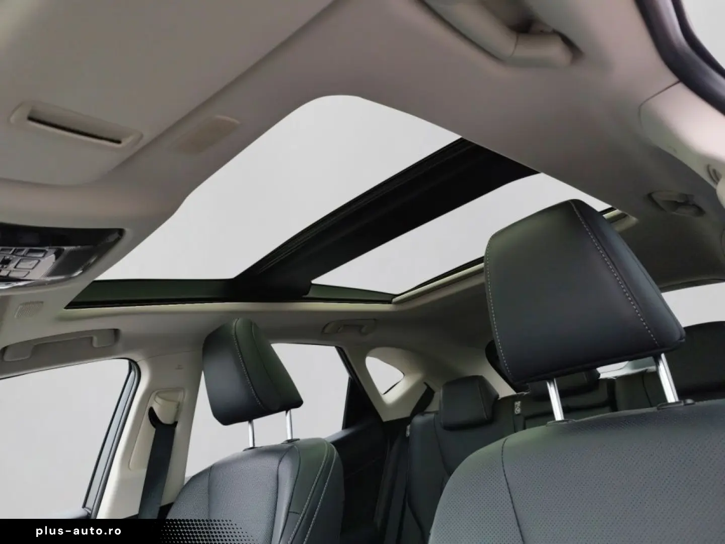 Lexus NX 350h E-Four Luxury Line MarkLevinson Ventil 360