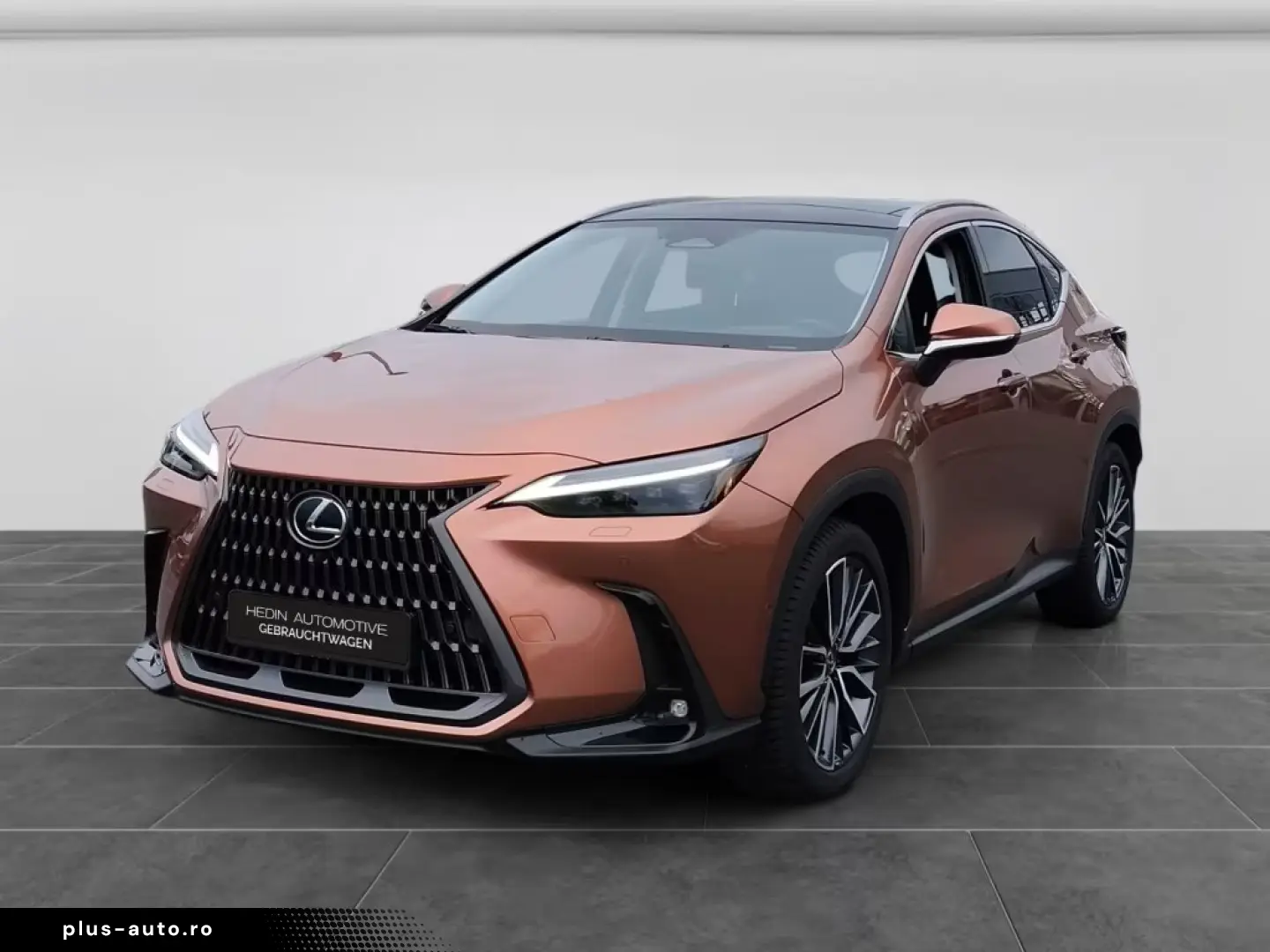 Lexus NX 350h E-Four Luxury Line MarkLevinson Ventil 360