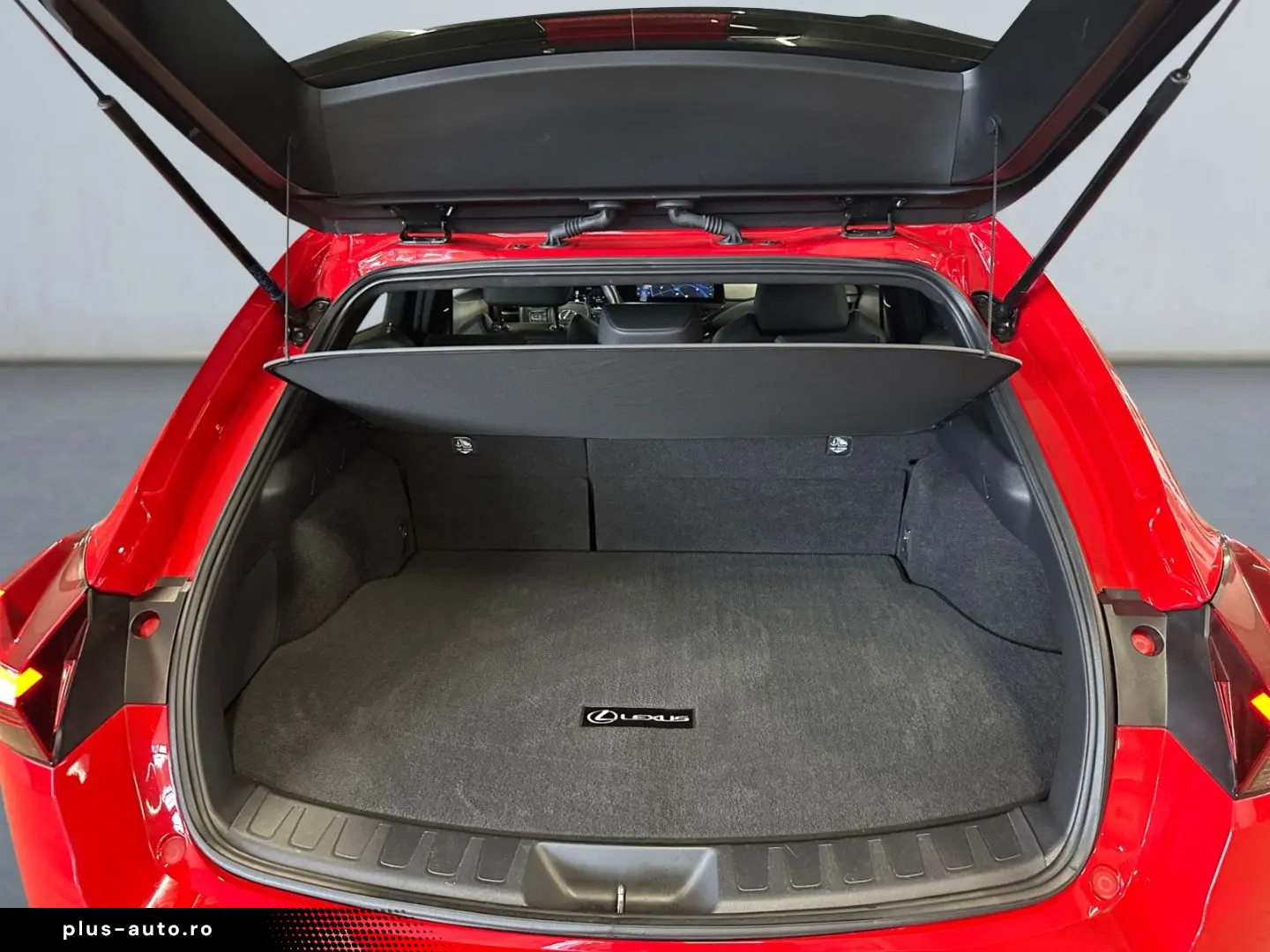 LEXUS UX 300h F SPORT Design LED CAMERA Bliss Keyless