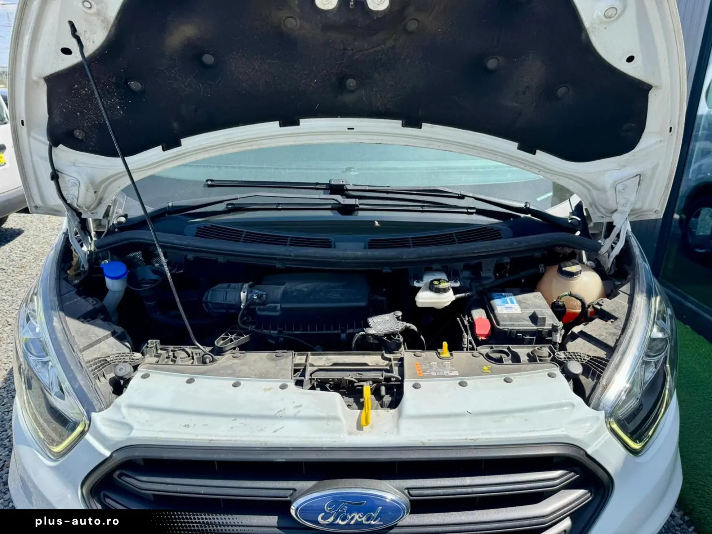 Ford Transit-Custom-