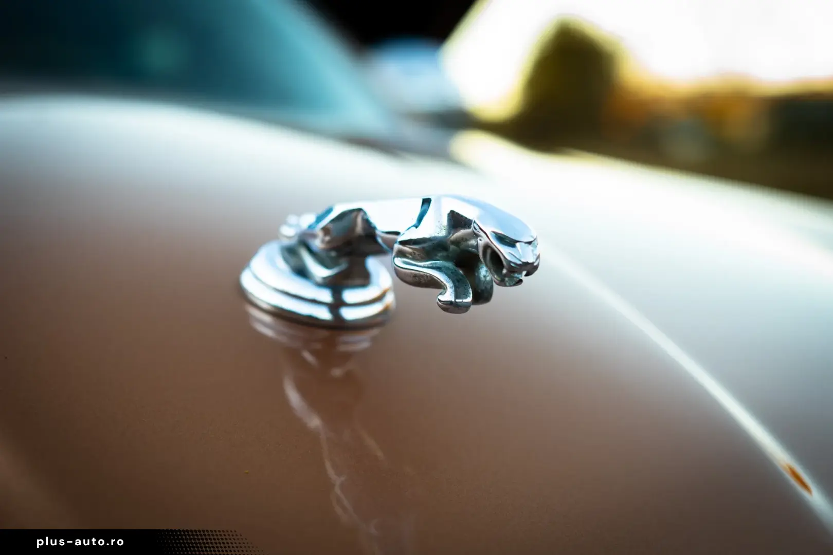 Jaguar XJ XJ8