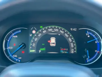 TOYOTA RAV 4 RAV4 Hybrid 4x4 Team Deutschland