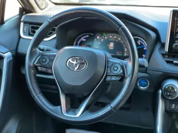 TOYOTA RAV 4 RAV4 Hybrid 4x4 Team Deutschland