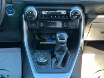 TOYOTA RAV 4 RAV4 Hybrid 4x4 Team Deutschland