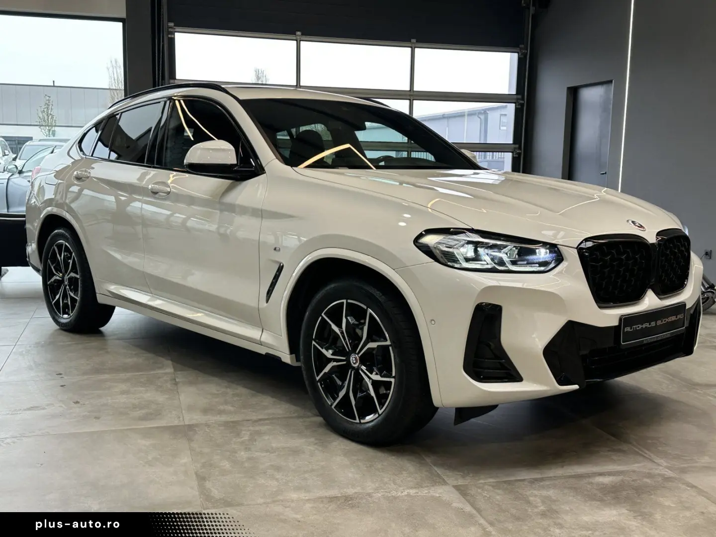 BMW X4  xDrive20i  M- Sport