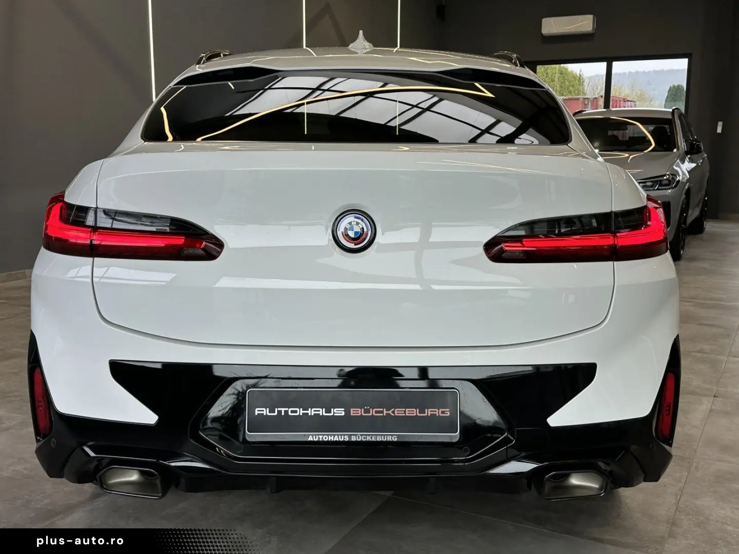 BMW X4  xDrive20i  M- Sport