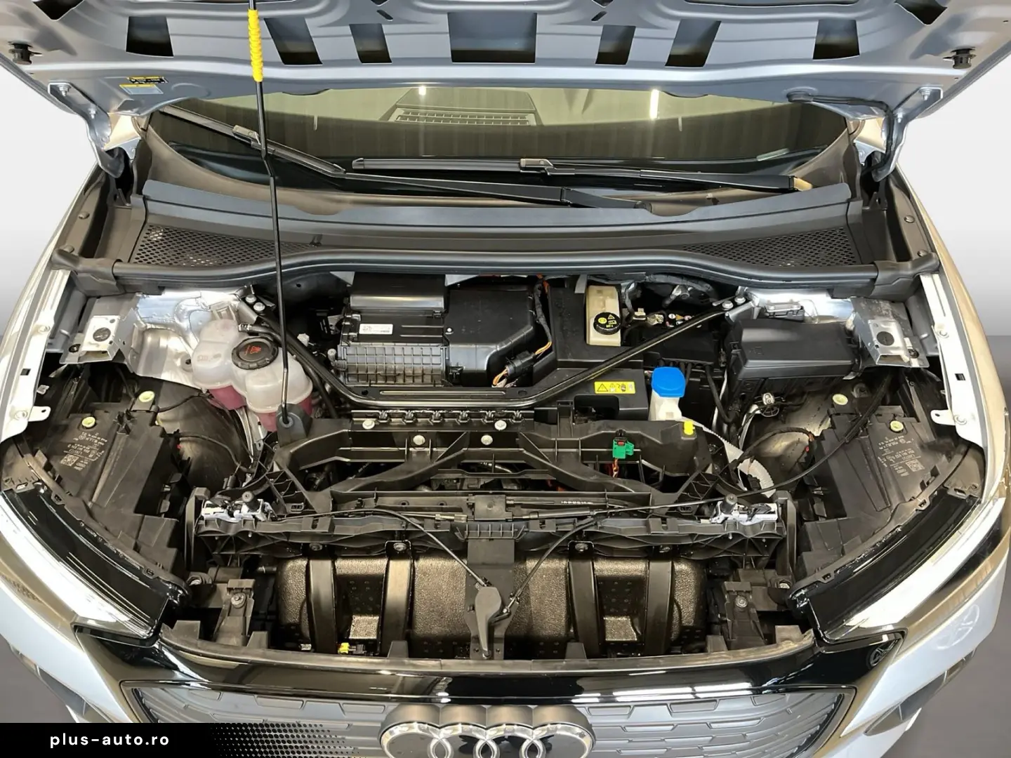 AUDI Q4 55 e-tron quattro 360 ACC DynLicht
