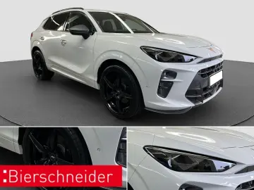 CUPRA Terramar 2.0 TSI DSG 4Dr AB 449EUR VZ ABT 21 AHK