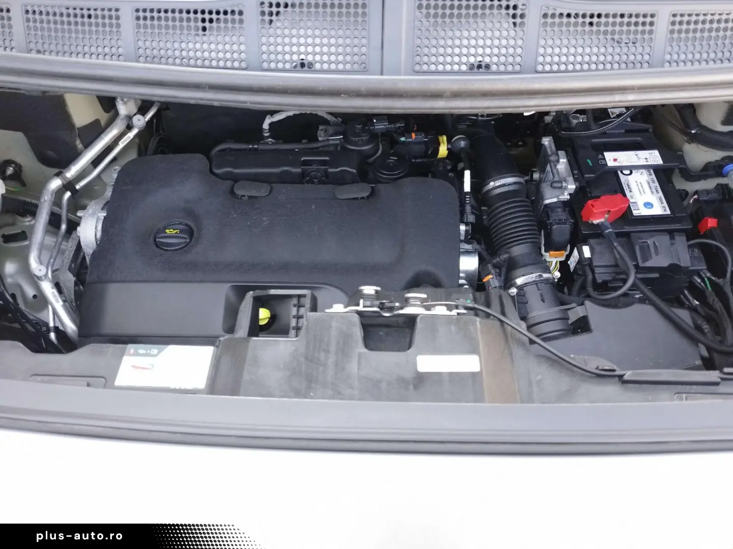 OPEL Zafira Life Kombi 9-Sitzer