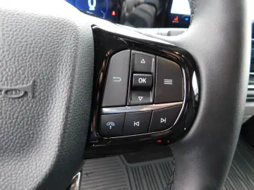 FORD Tourneo Custom 320 L2 Titanium Autom. Leder AHK