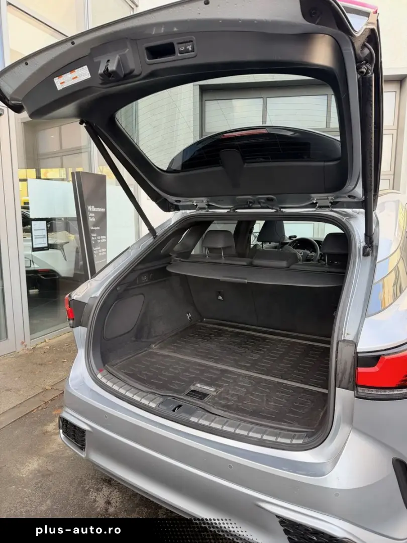 LEXUS RX500h  DIRECT4 F SPORT    Panoramadach