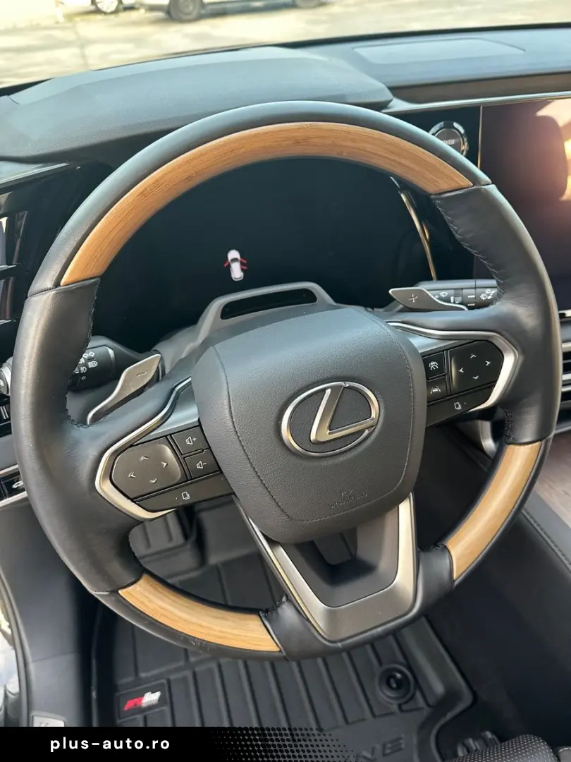 LEXUS RX 450 Luxury Line Deutsch Top Zustand