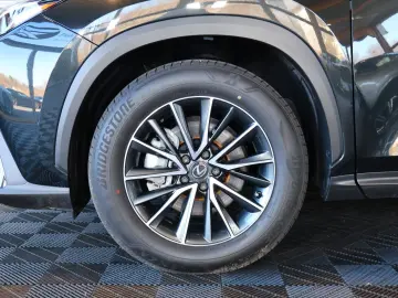 LEXUS NX 350h HYBRID ACC PDC CARPLAY DAB  LED RFK