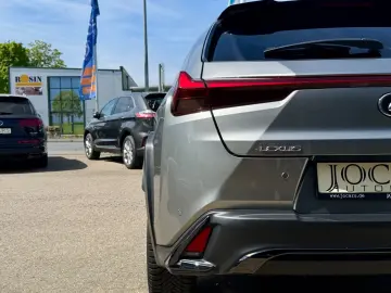 LEXUS UX 250h ACC VIRT.CP Car.Play RFK FSPORT LED