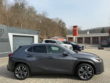 LEXUS UX 250 h Style.LED.ACC.Kamera.