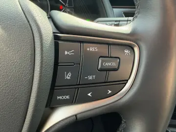 LEXUS UX 250 h Style.LED.ACC.Kamera.