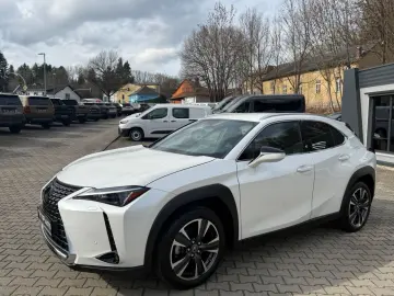 LEXUS UX 250 h Style.LED.ACC.Kamera.