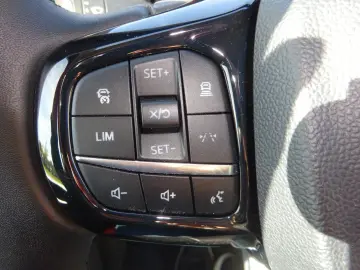 FORD Transit Custom 320 L2 Limited AWD VIP Luxussitze