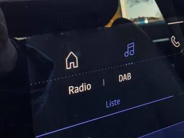 RENAULT Austral Kamera CarPlay SHz Frontscheibe