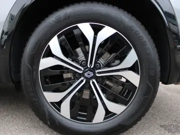 RENAULT Austral 160 Evolution Navi LED ACC Kamera Apple