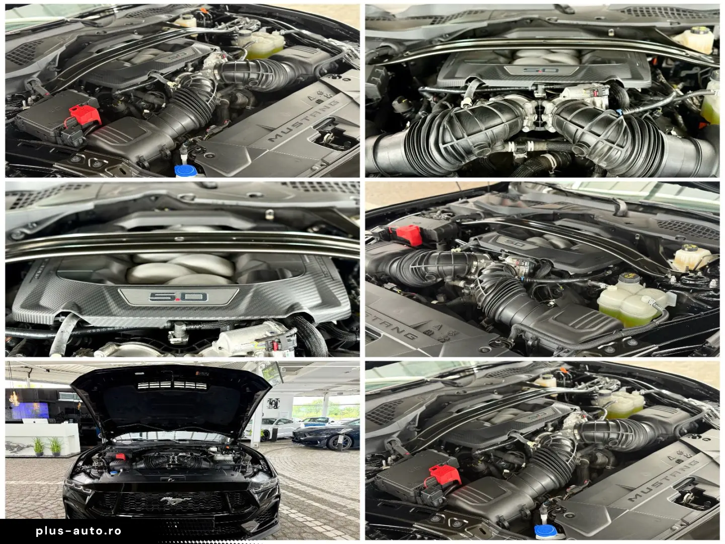 FORD Mustang 5.0 V8 GT Autom. Ford Garantie   20 Zoll