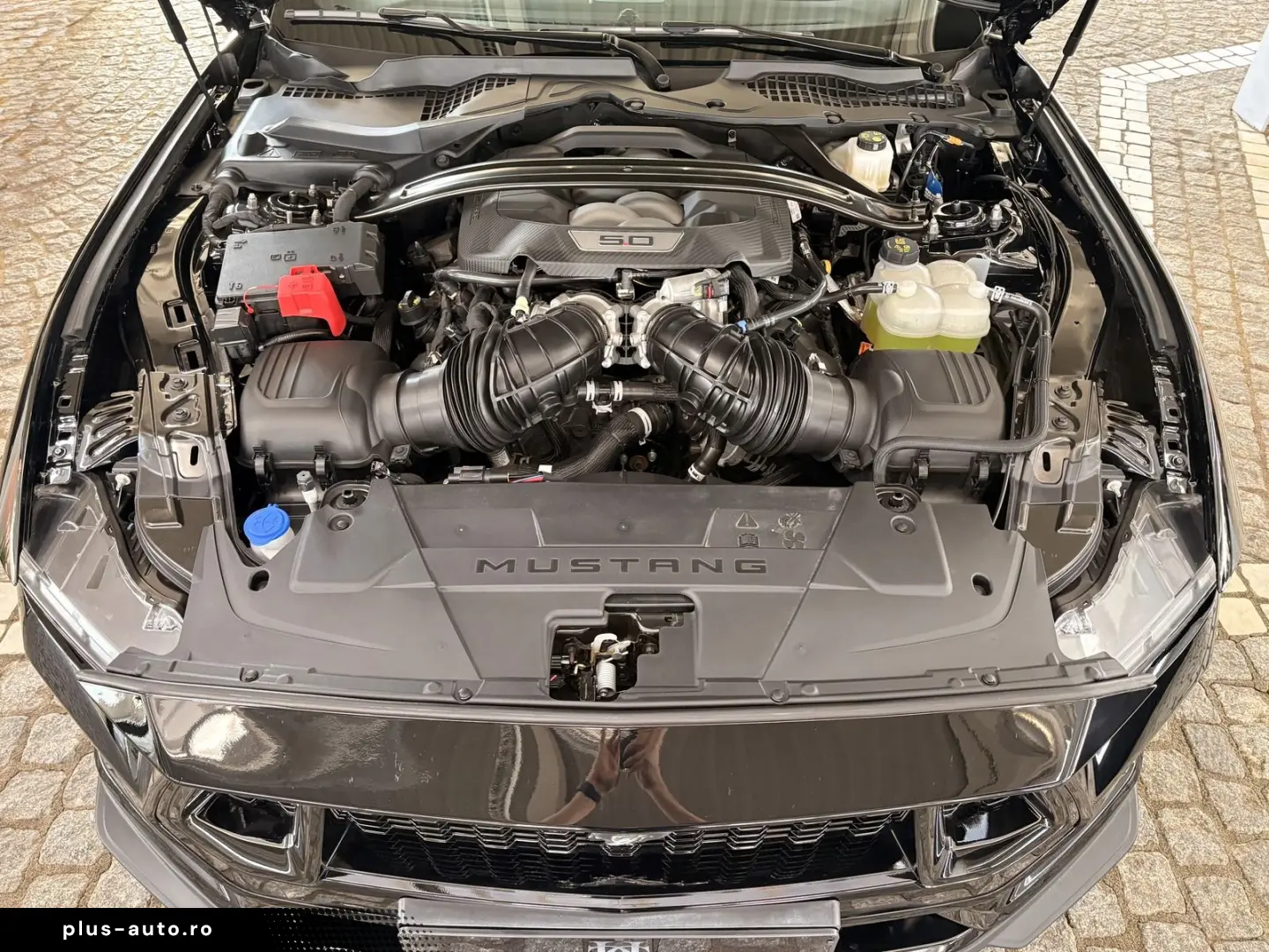 FORD Mustang 5.0 V8 GT Autom. Ford Garantie   20 Zoll