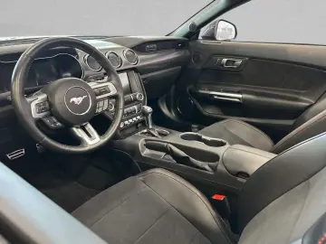 FORD Mustang Convertible 5.0 V8 Aut. GT  Tieferlegung