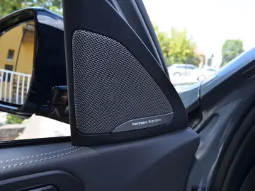 BMW X6 30 d xDrive M Sport AHK PANO